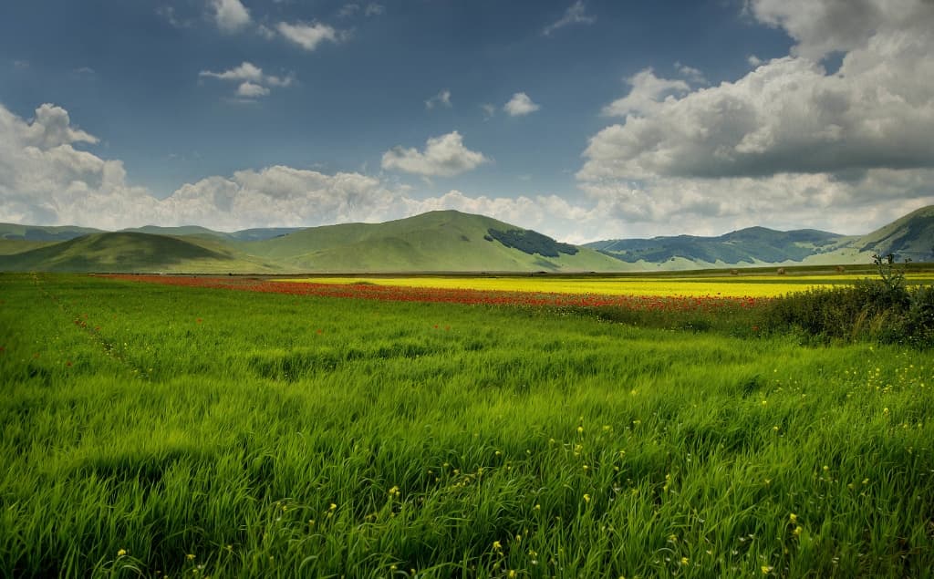Lush green hills landscape background