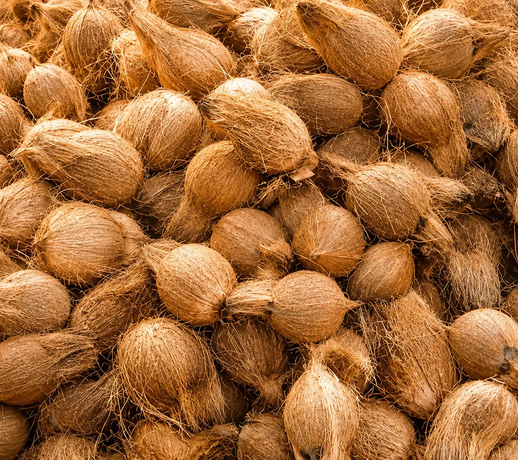 Raw Material Selection
